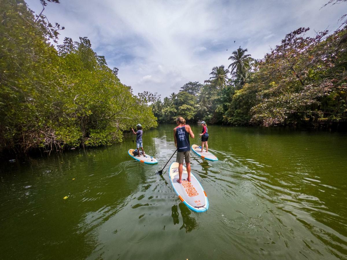 DodanduwaCircus Lagoon Hideaway住宿加早餐旅馆 外观 照片